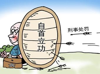 委托家属动员同案人投案的量刑辩护分享 - 知乎