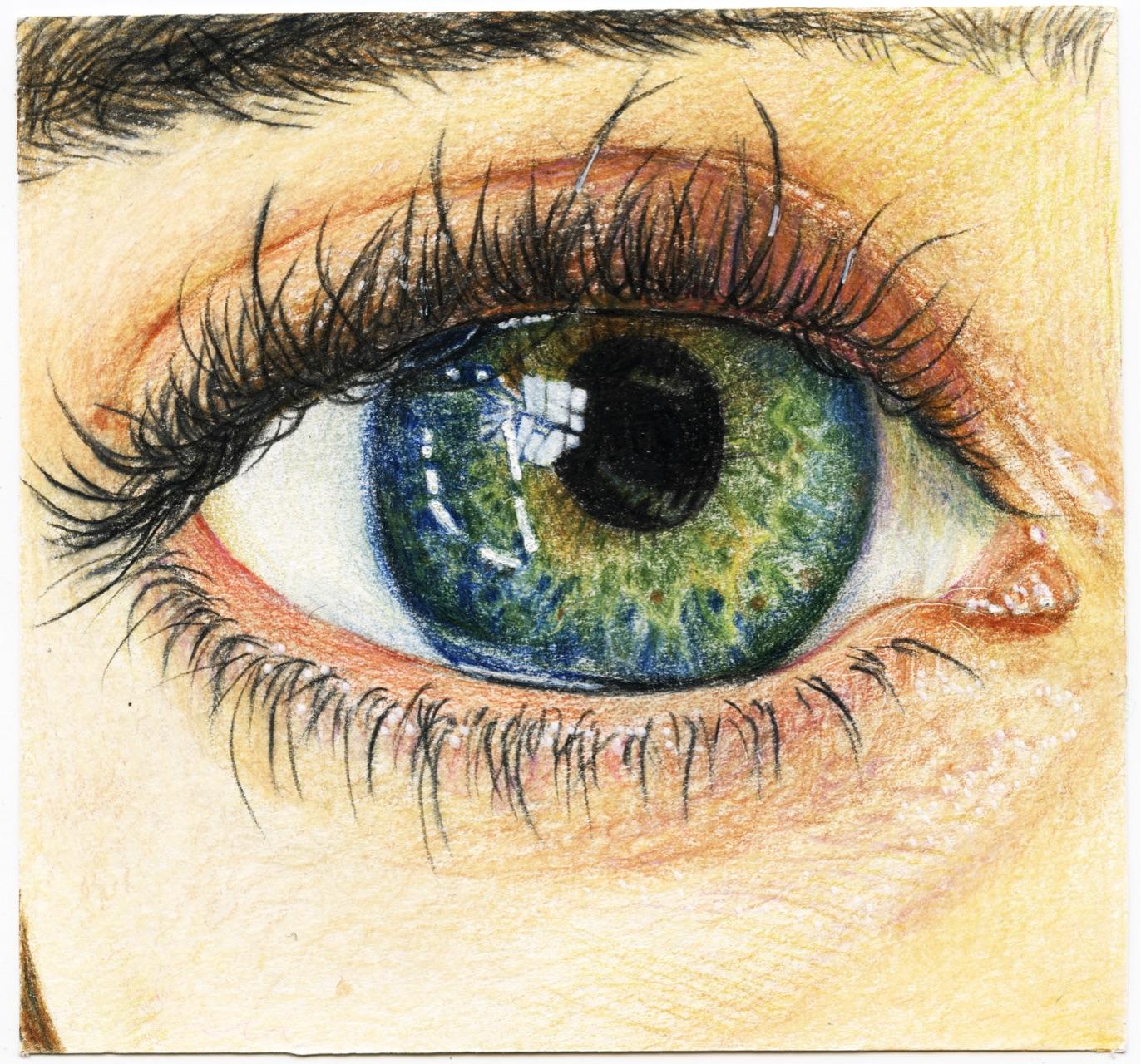 如何画出像这样高质量的彩铅作品? - 知乎