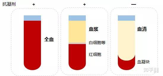 请问血清与血浆的区别是什么