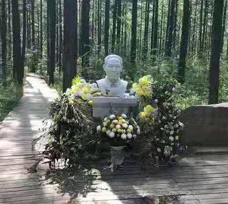 王尚海,塞罕坝上一棵松