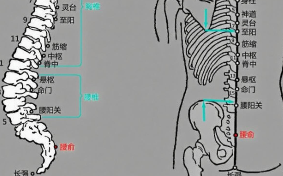 人体常见48个穴位，作用、按揉手法，图文取穴，实用指南！ - 知乎