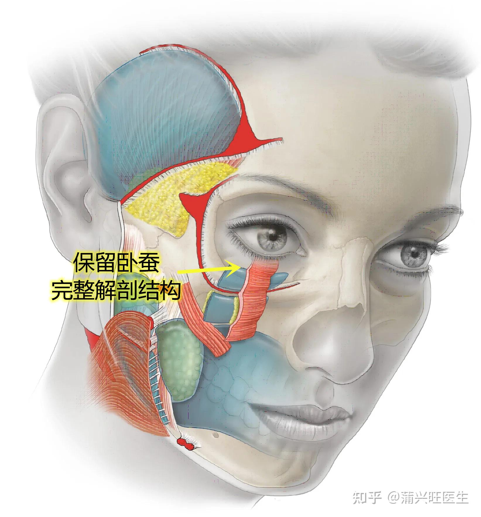 如何消除眼袋?