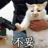 瘦肉丸