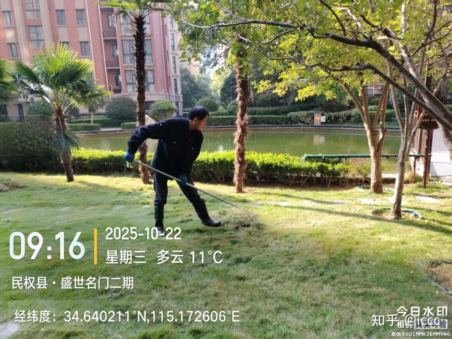 盛世名门物业:冬前草坪精修,以匠心守护园区四季美好 - 知乎