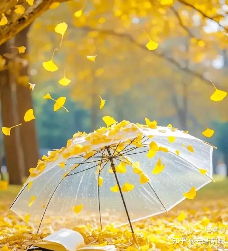 十首经典的秋雨古诗,不堪红叶青苔地,又是凉风暮雨天。 - 知乎