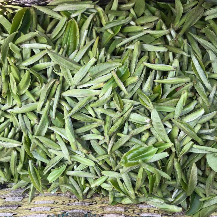 高山云雾出好茶之开化龙顶茶