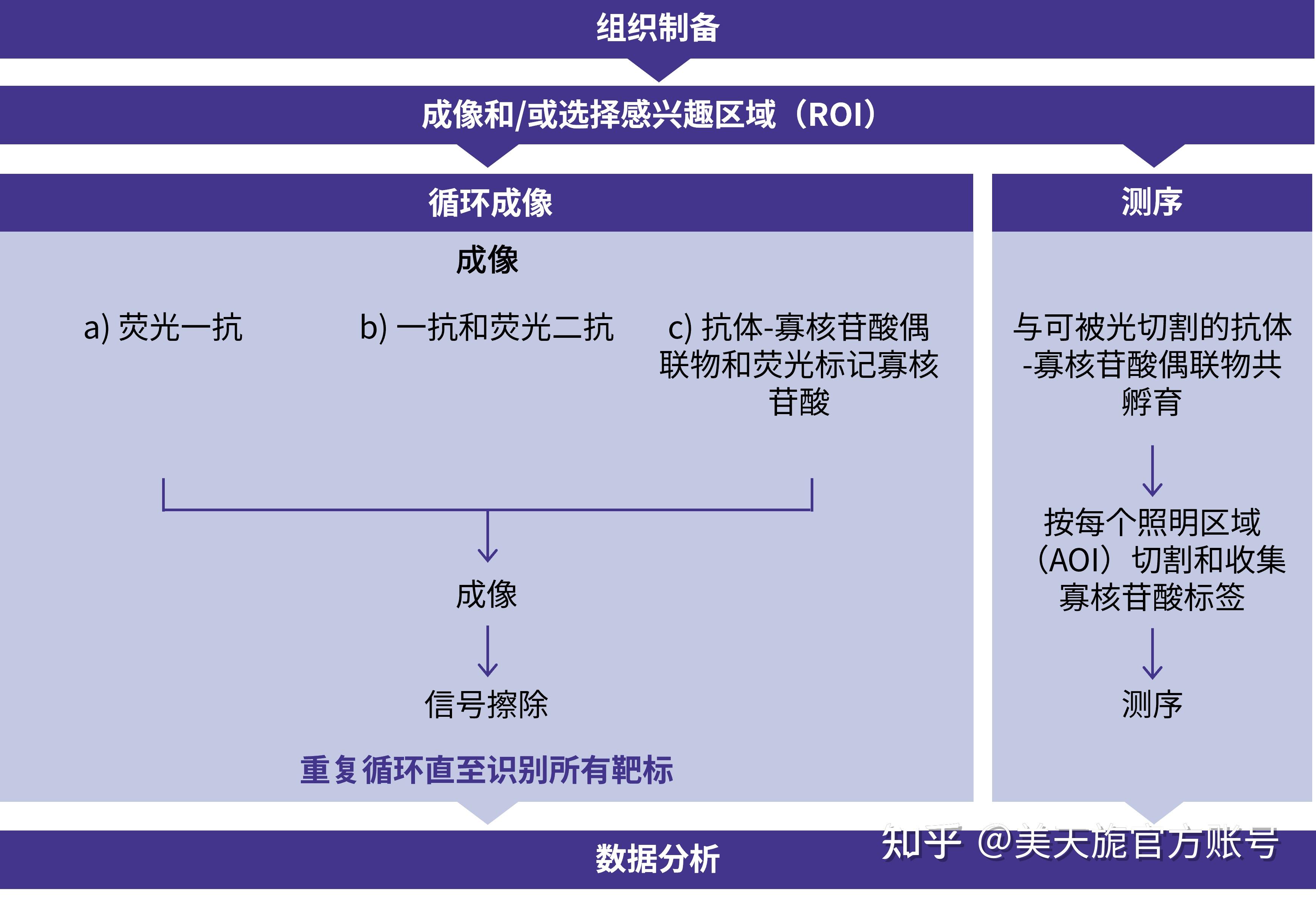 MACS专栏三:空间生物学 - 知乎