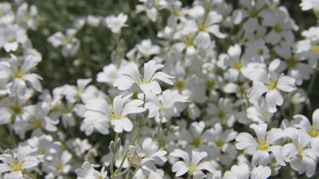 2. 温馨家居配色