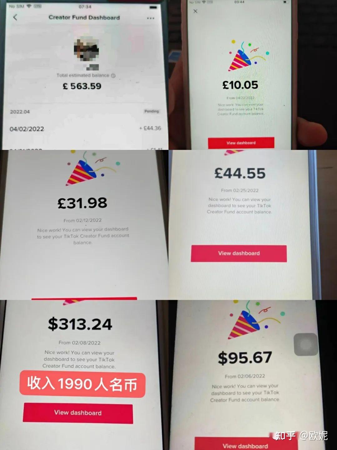 有做tiktok赚到钱的大佬嘛