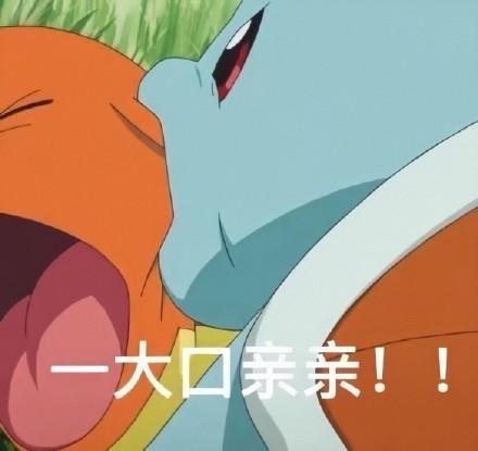 有没有神奇宝贝我是谁那种的表情包