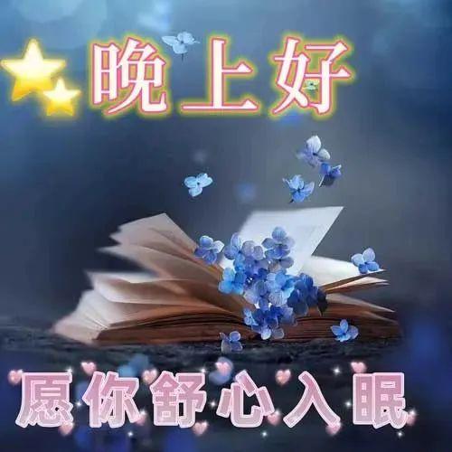2025漂亮的8张晚上好动态美图，最美晚上好祝福图片带字温馨 - 知乎