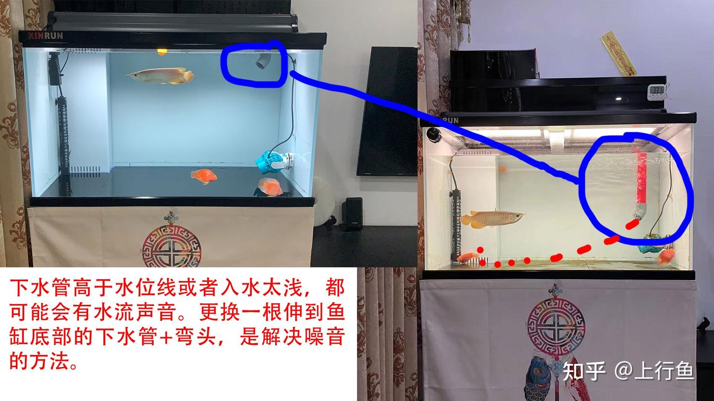 鱼缸下水口噪音大怎么解决，鱼缸下水管声音大怎么解决？鱼缸下水口咕噜咕噜的响怎么办？ - 知乎