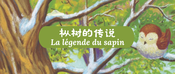 枞树读后感(三年级安徒生童话枞树读后感)  第1张