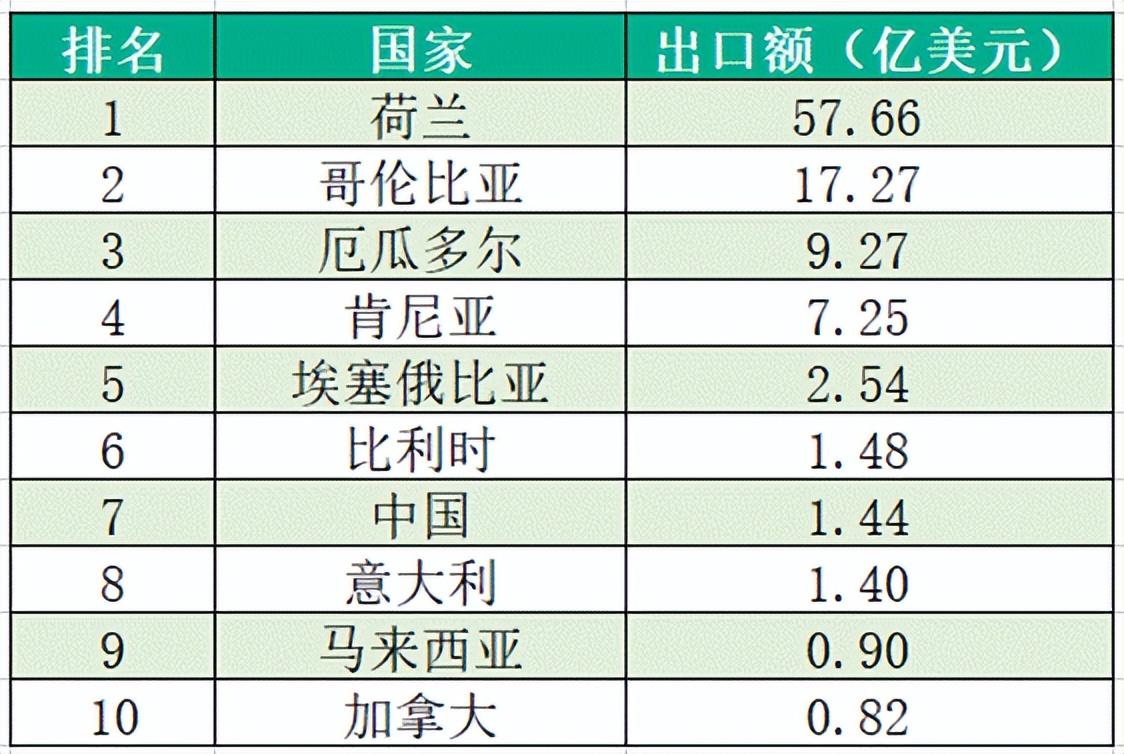 荷兰花卉产业发展现状图片