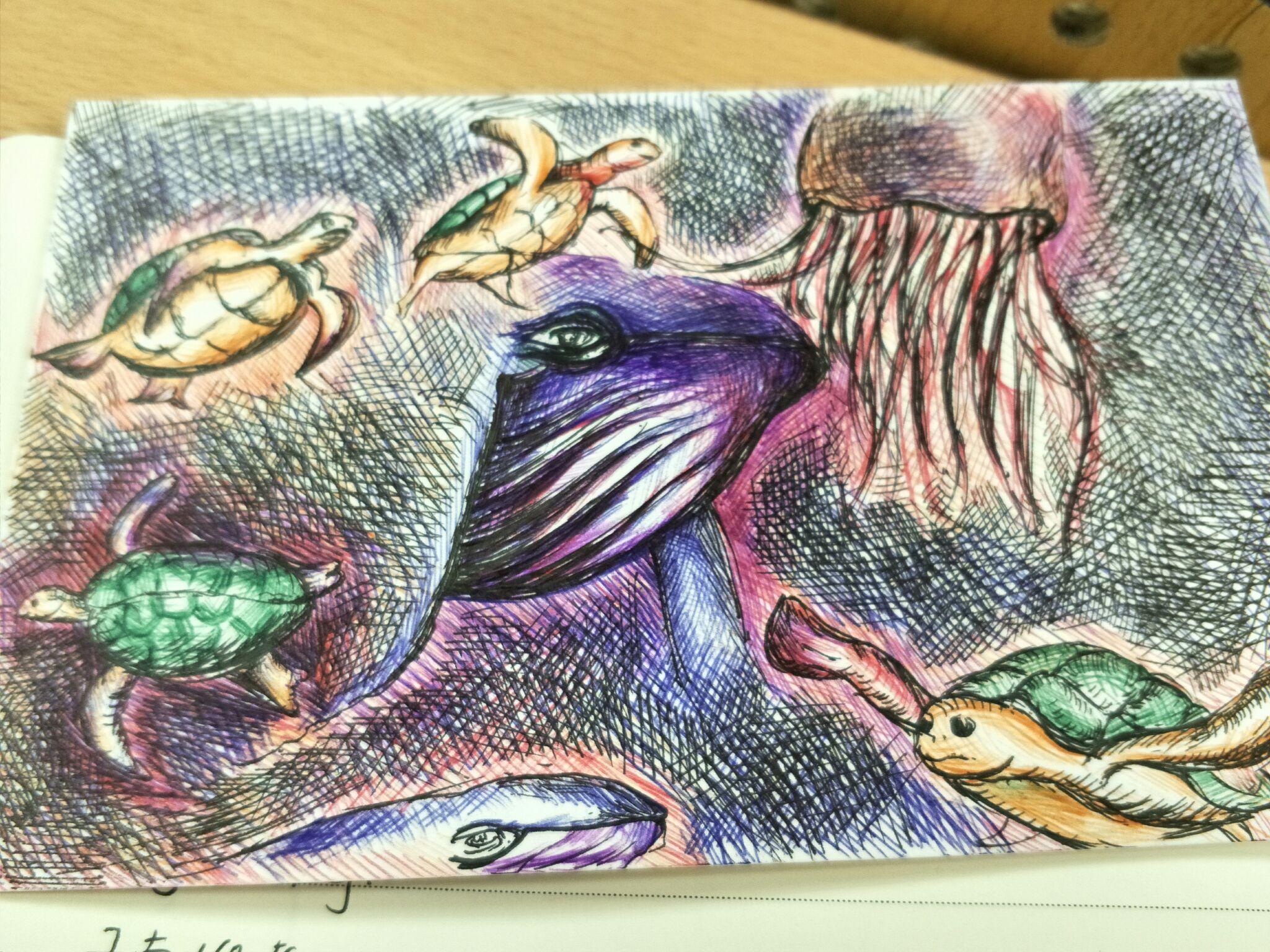 20岁学绘画还晚吗