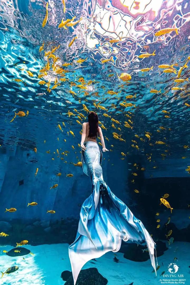 潜羽美人鱼谨防溺水 - 知乎