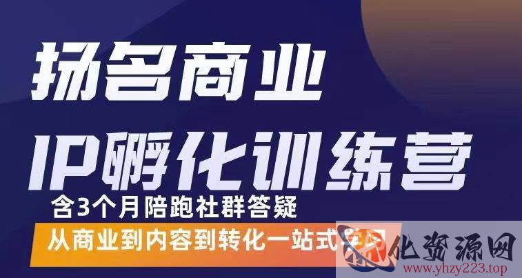 杨名商业IP孵化训练营，从商业到内容到转化一站式学 价值5980元插图