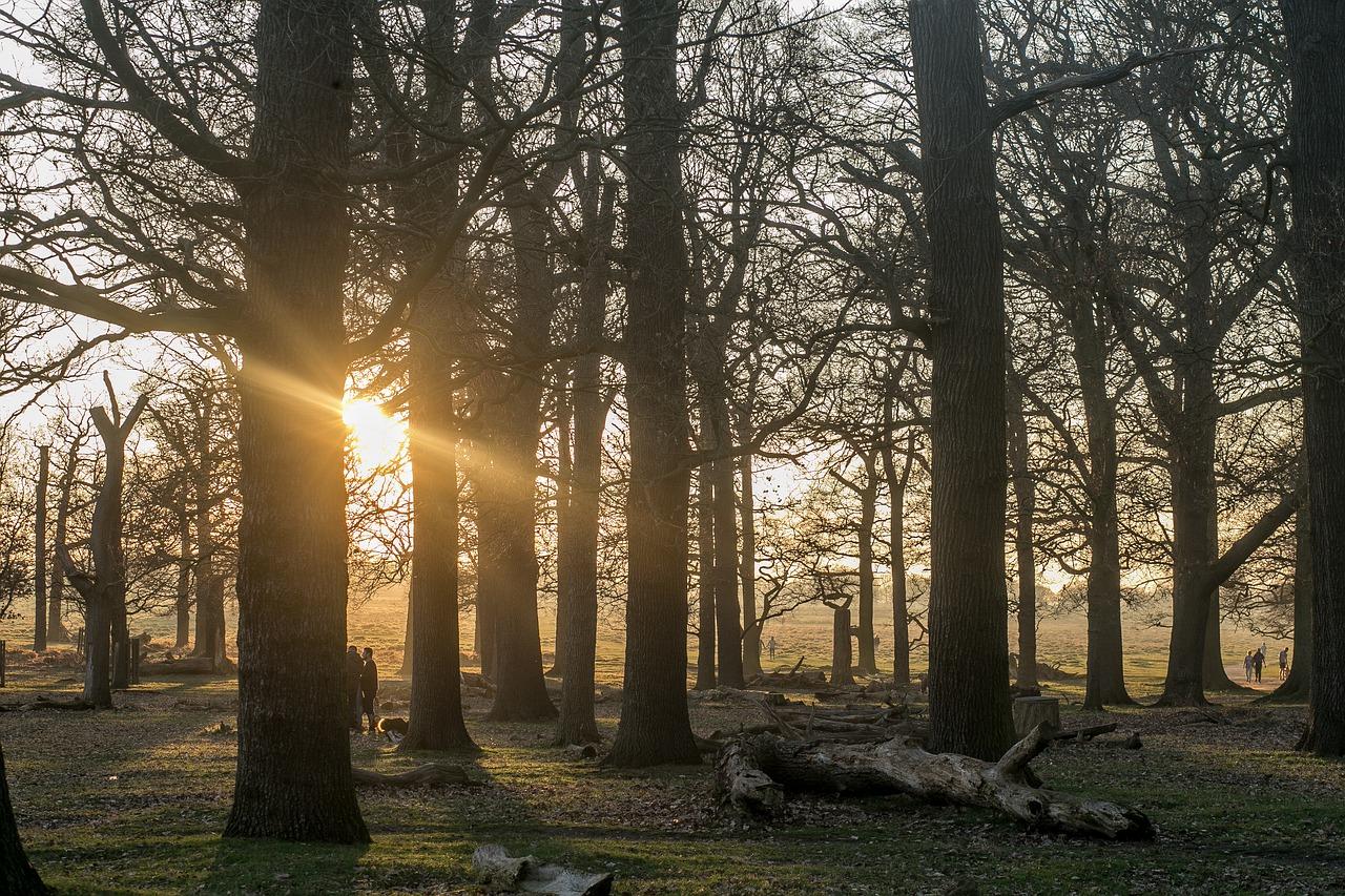 4. 公园便捷通道