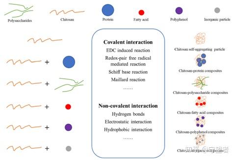 Carbohydrate Polymers综述:壳聚糖基Pickering乳液的稳定剂、生物利用度、应用和相关法规 - 知乎