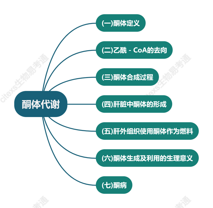 之酮体代谢内容及思维导图