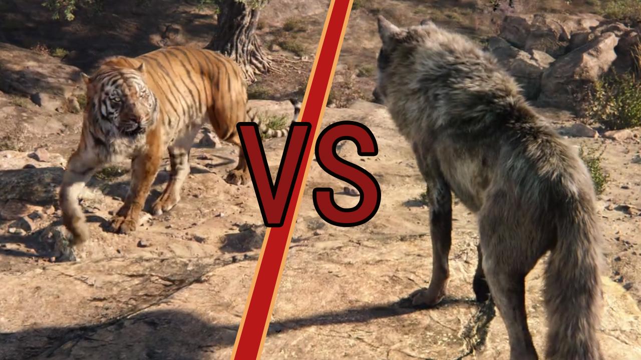 最厉害的狼能打过老虎嘛?