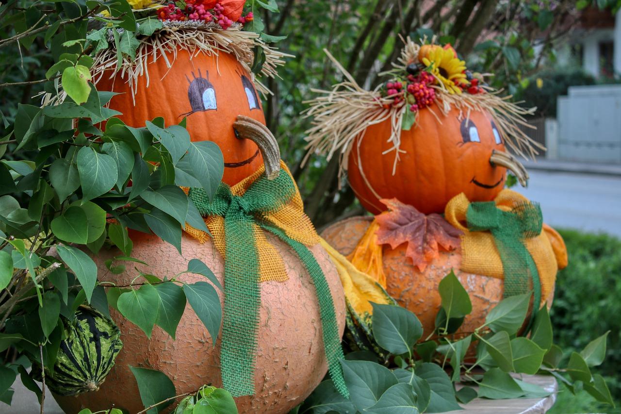秋季有什么特点
