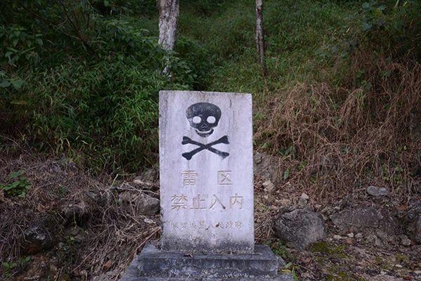 揭秘世界上最复杂的雷区——中越边境161雷场 排雷装备至关重要 - 知乎