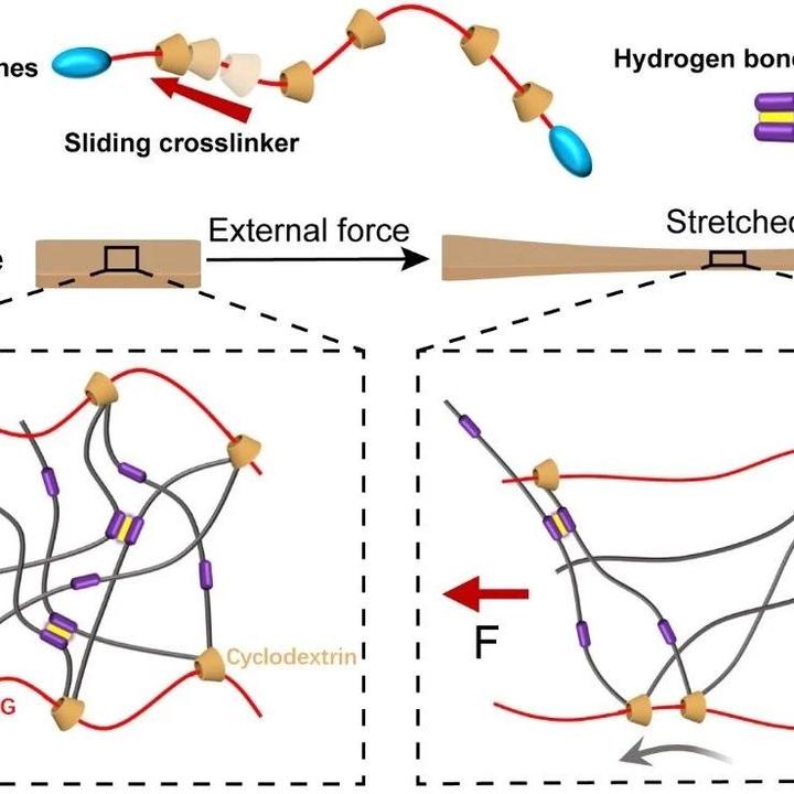 南京大学贾叙东、张秋红《AFM》:基于分子轮滑和氢键的高拉伸自修复弹性体 - 知乎