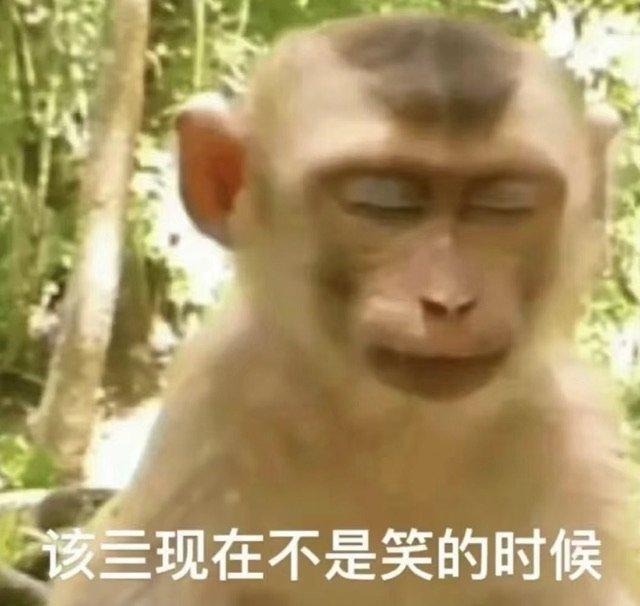 没有什么表情包能让我笑了,怎么办? - 知乎