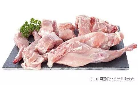 兔肉的功效与作用禁忌 - 知乎