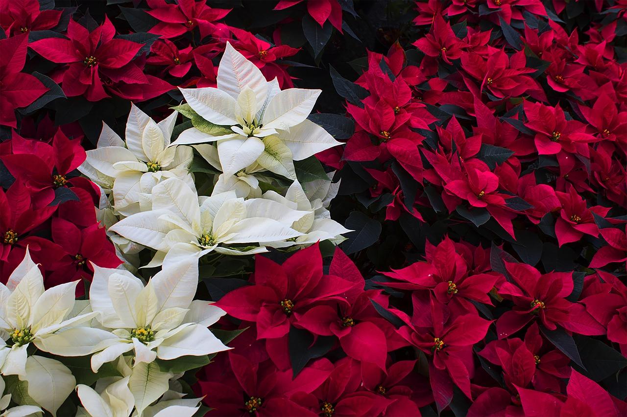 新晨阳光，2021启航