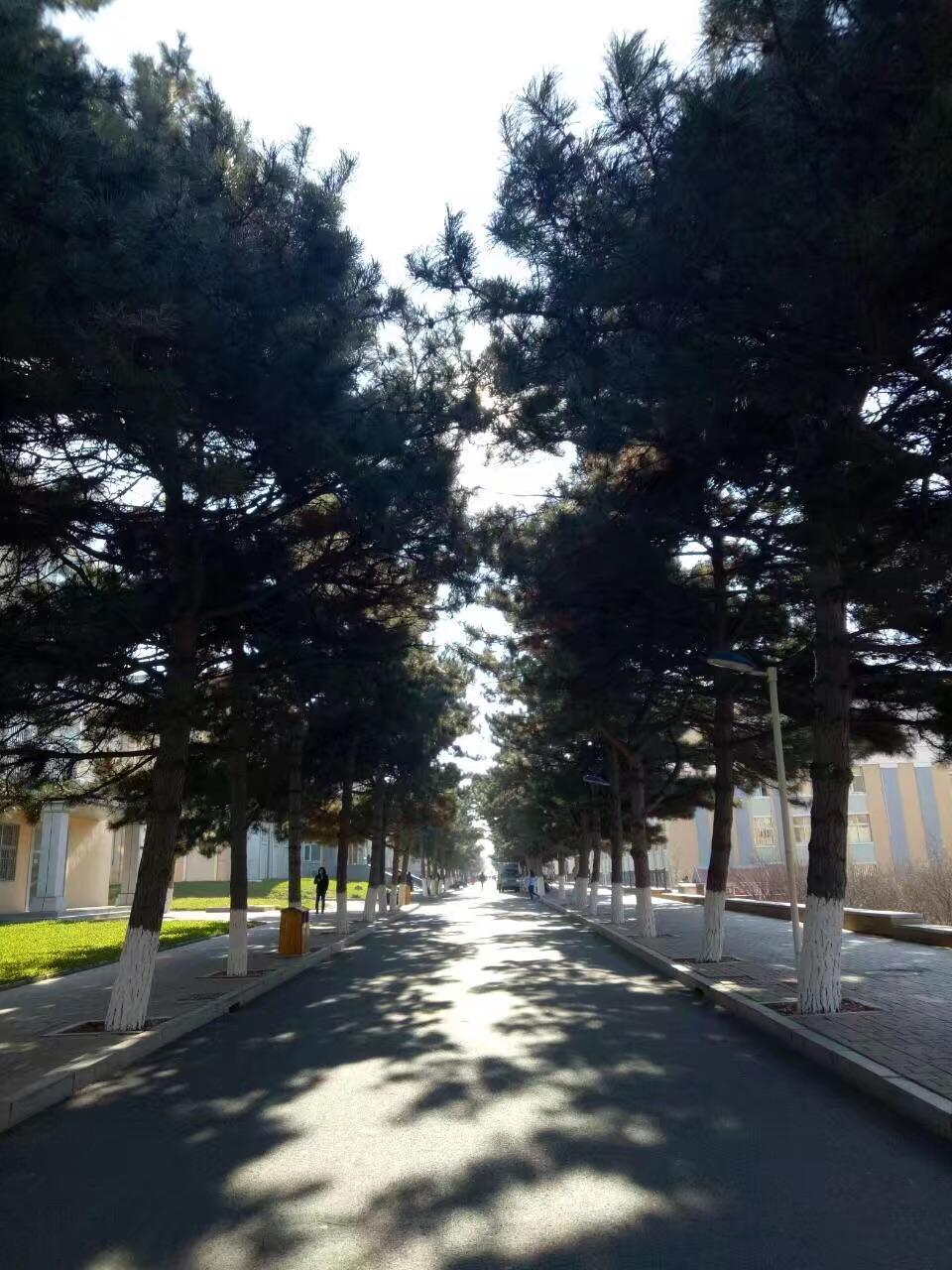 有没有吉林农业大学的学长学姐能介绍一下学校情况吗