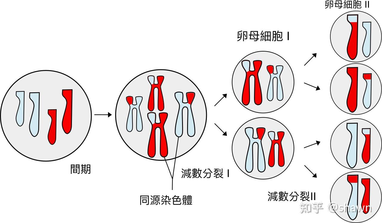 为什么高级生物大都采取有性生殖