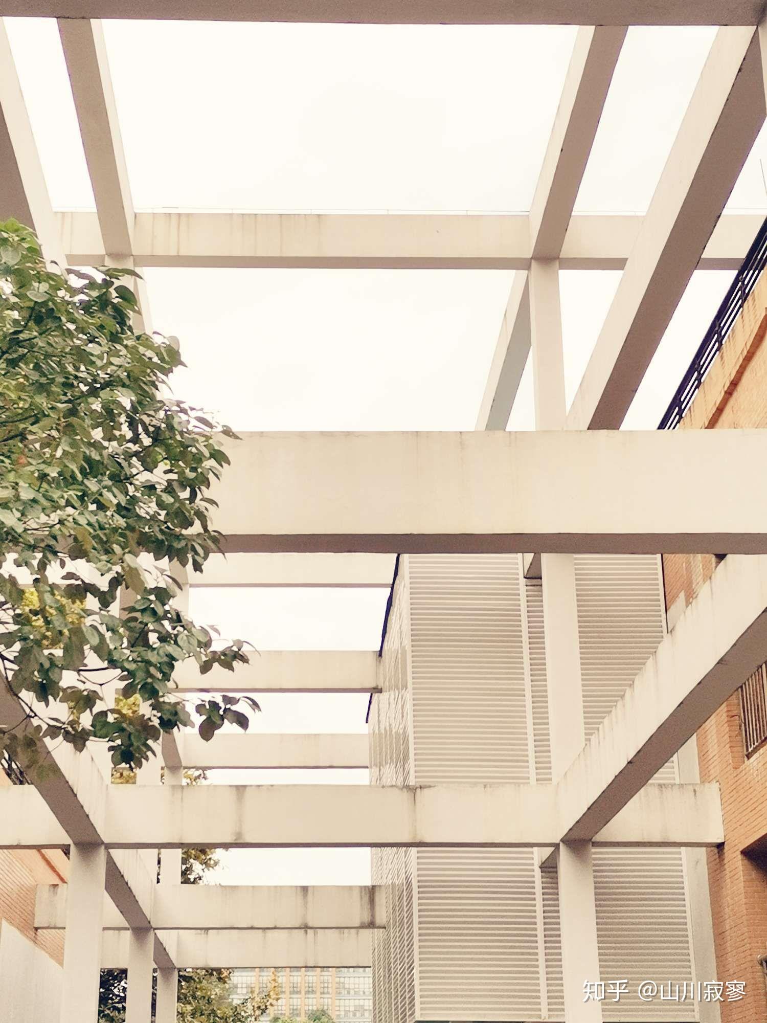 贵阳学院的校园环境如何? - 知乎