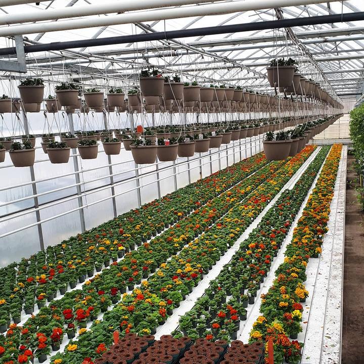 无土栽培与植物工厂化 知乎