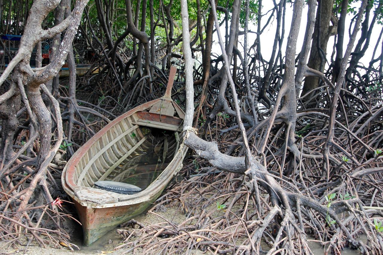 3. 太阳管市场行情