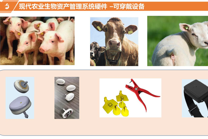 RFID技术在智能农业中的应用:实现精准种植与养殖管理 - 知乎