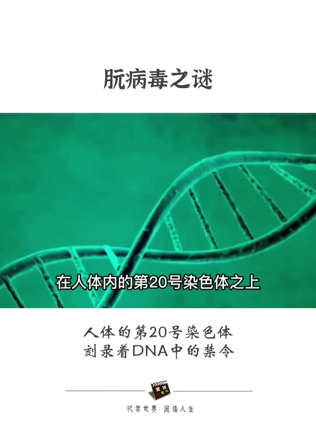 包含朊病毒跟一般意义上的病毒有什么异同的词条