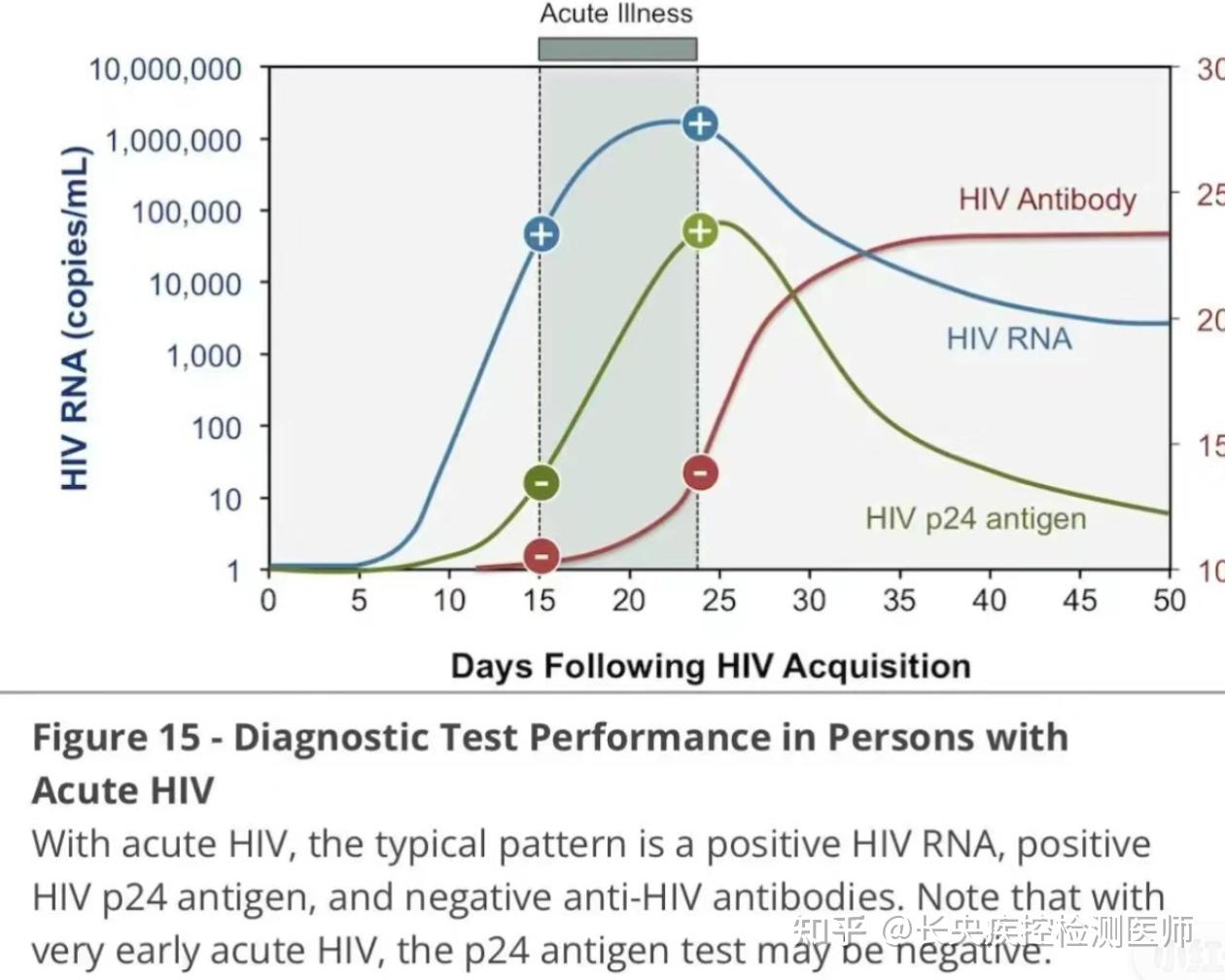 hiv浓度与t细胞关系图图片