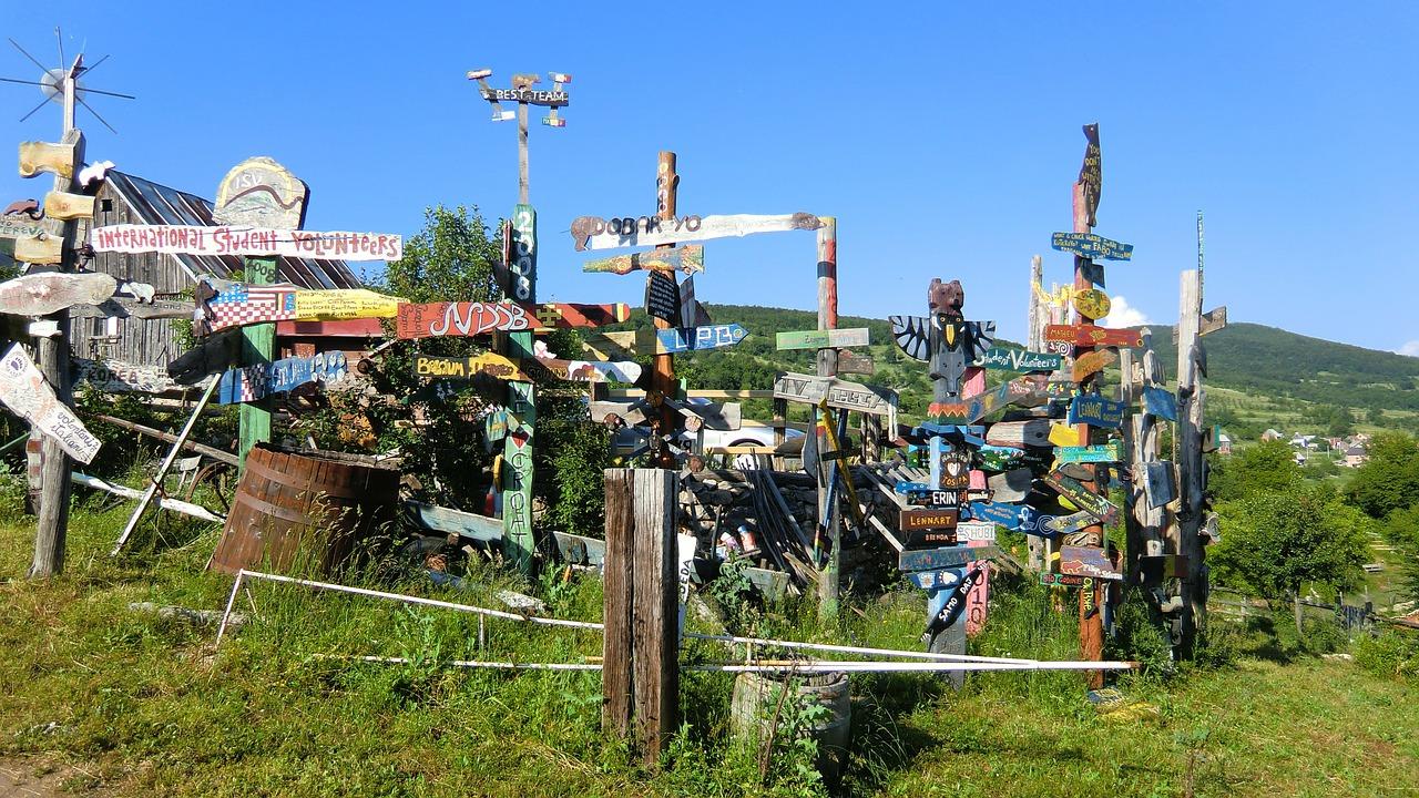 如何养多头铁兰