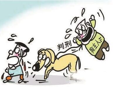 案例探析:动物伤人中的精神损害赔偿探析 - 知乎