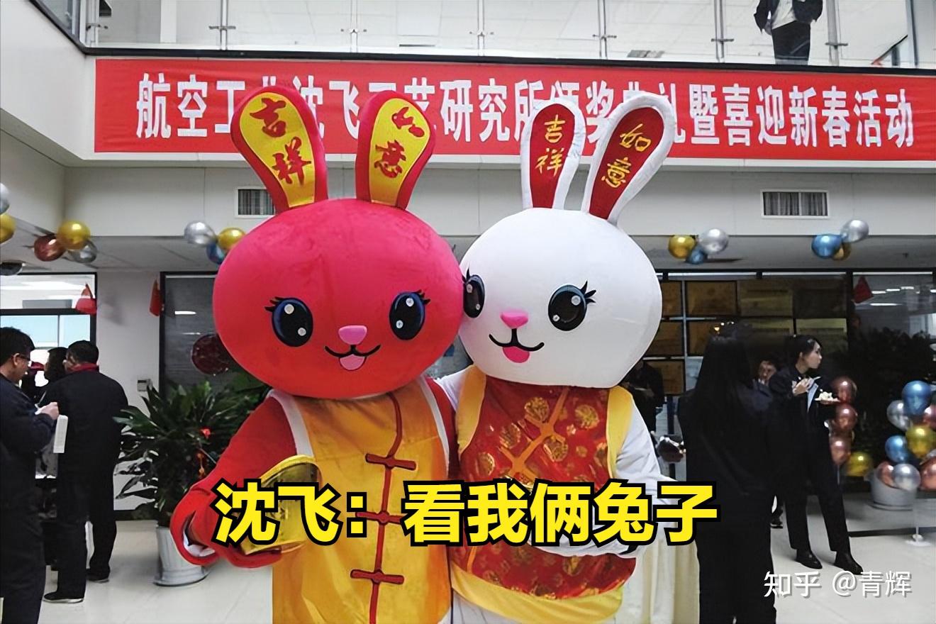 南北差异?成飞过年展示神秘飞机,沈飞过年晒了俩兔子! - 知乎