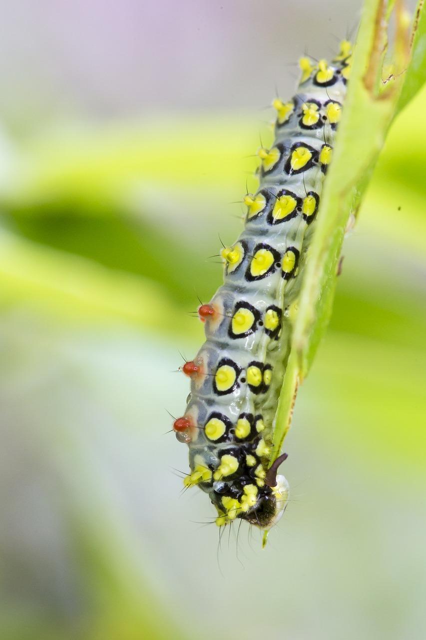 4. 自然温馨家居