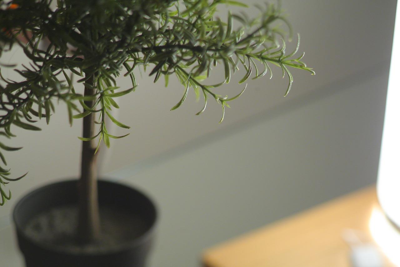 2. 蚊帐使用技巧