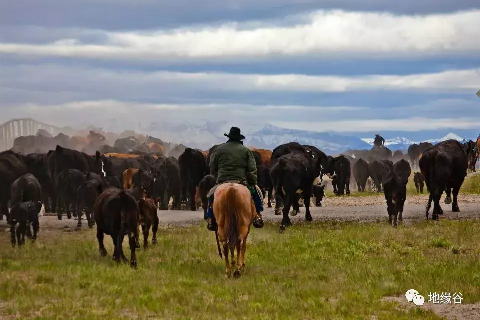 为什么德克萨斯州又被叫做“孤星州”?