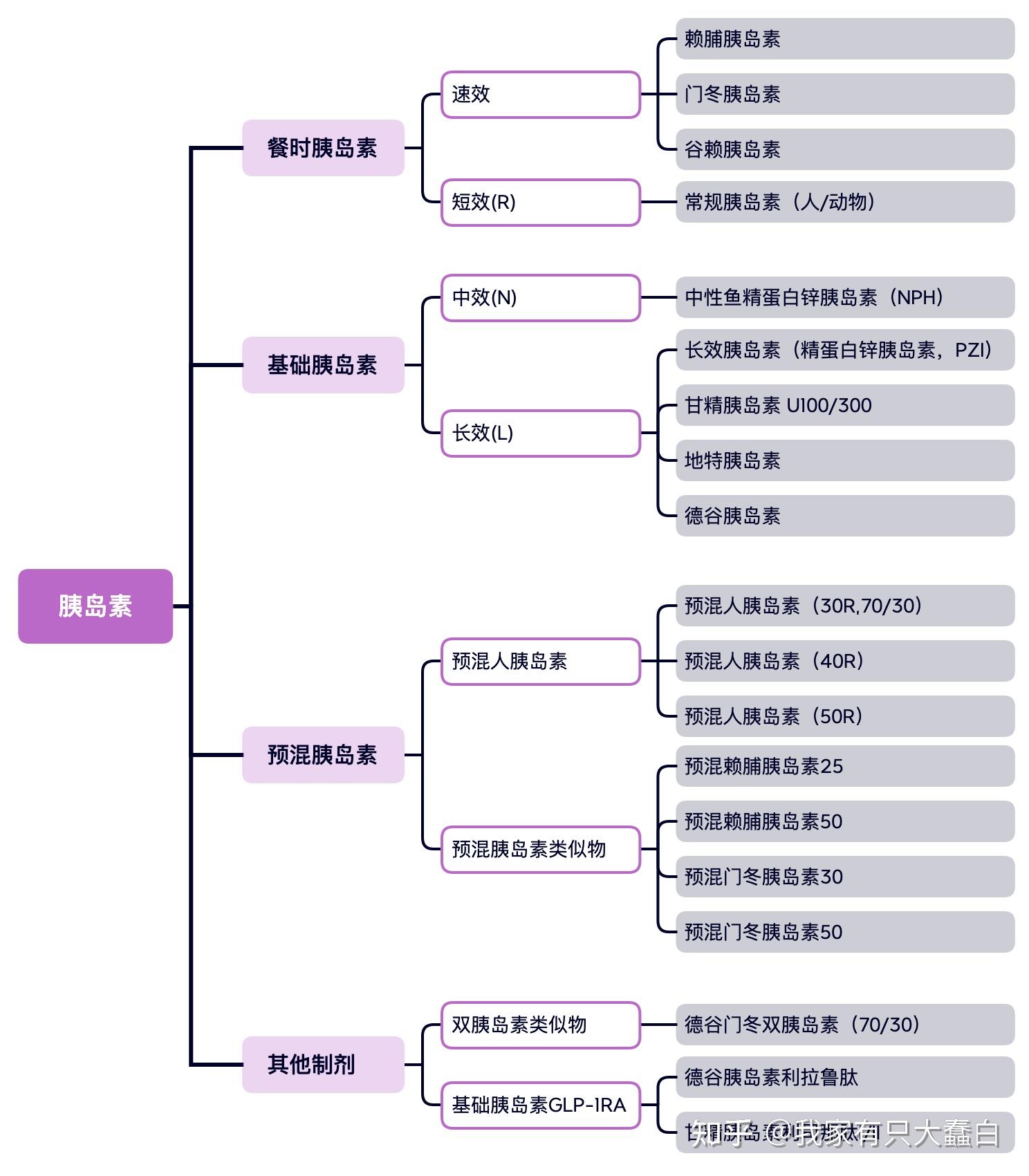 根据作用特点,胰岛素可分为餐时胰岛素,基础胰岛素,预混胰岛素以及双