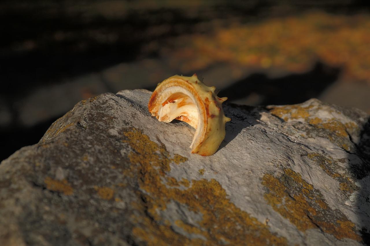 4. 电缆剥皮步骤