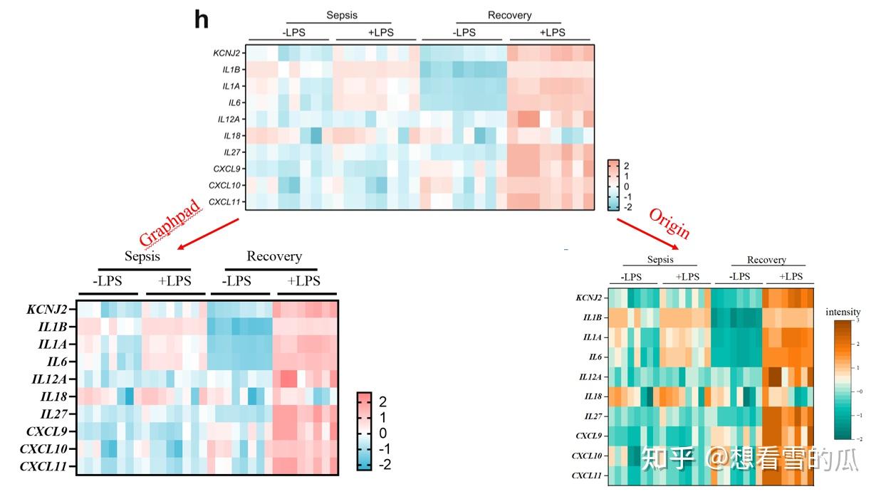 Nature图形复现—两种快速绘制热图的方法 - 知乎