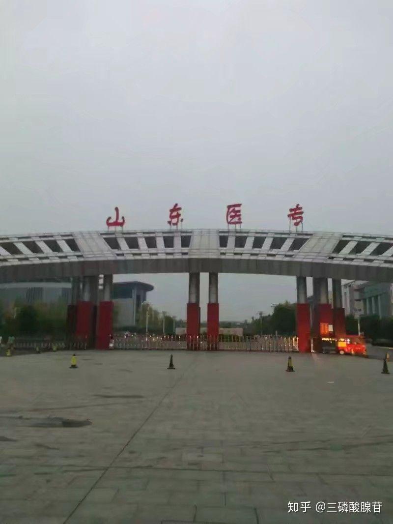山东医学高等专科学校的校园环境如何