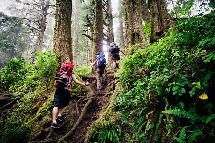 全球最值得去的登山徒步路线,走过一条就能炫耀一辈子! - 知乎